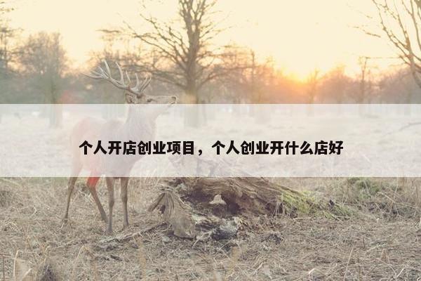 个人开店创业项目，个人创业开什么店好