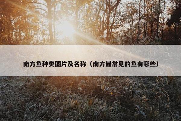 南方鱼种类图片及名称（南方最常见的鱼有哪些）