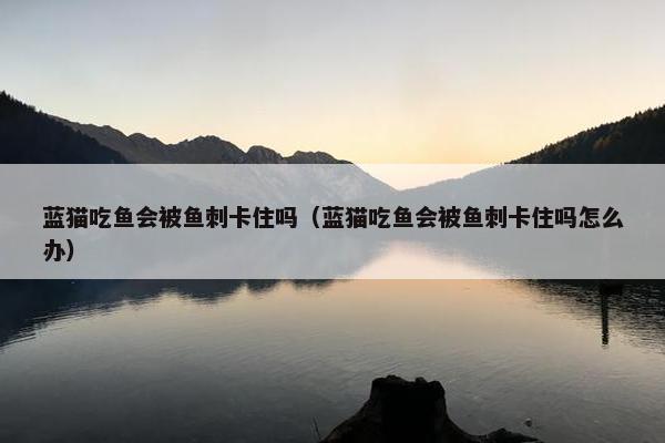 蓝猫吃鱼会被鱼刺卡住吗（蓝猫吃鱼会被鱼刺卡住吗怎么办）