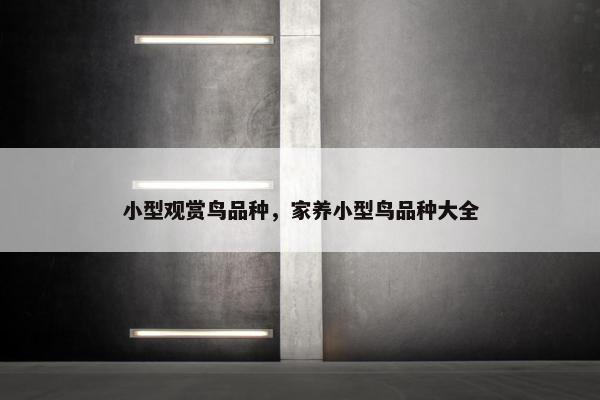 小型观赏鸟品种，家养小型鸟品种大全