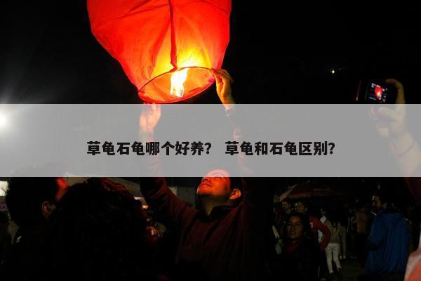 草龟石龟哪个好养？ 草龟和石龟区别？