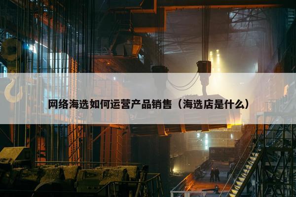 网络海选如何运营产品销售（海选店是什么）