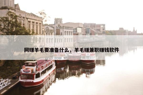 网赚羊毛要准备什么，羊毛赚兼职赚钱软件