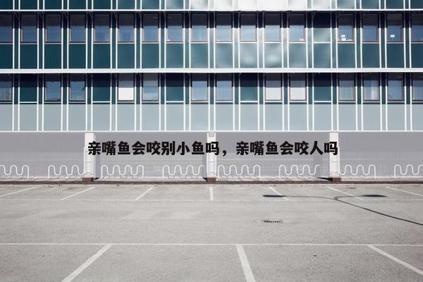 亲嘴鱼会咬别小鱼吗，亲嘴鱼会咬人吗