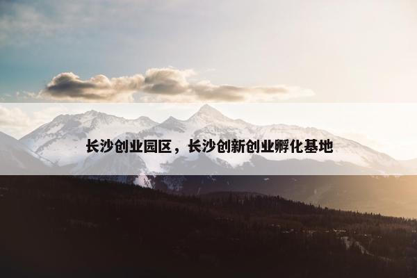 长沙创业园区，长沙创新创业孵化基地