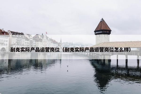 耐克实际产品运营岗位（耐克实际产品运营岗位怎么样）