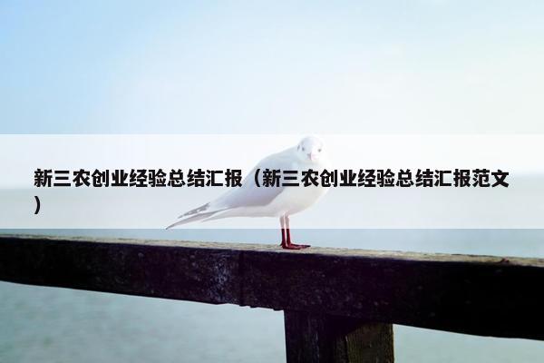 新三农创业经验总结汇报（新三农创业经验总结汇报范文）