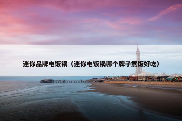 迷你品牌电饭锅（迷你电饭锅哪个牌子煮饭好吃）