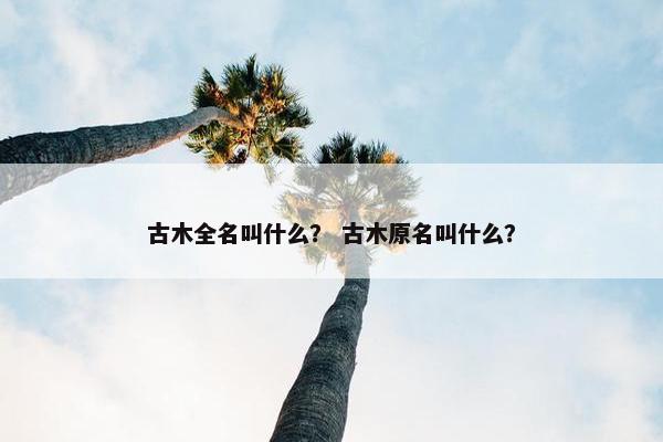 古木全名叫什么？ 古木原名叫什么？