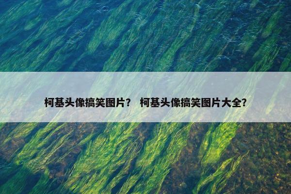 柯基头像搞笑图片？ 柯基头像搞笑图片大全？