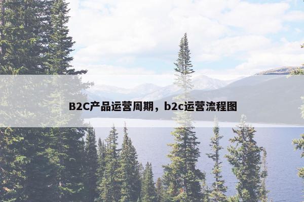 B2C产品运营周期，b2c运营流程图