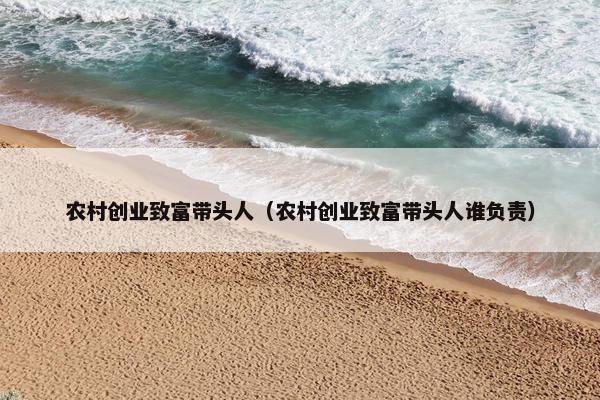 农村创业致富带头人（农村创业致富带头人谁负责）