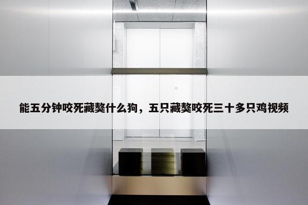 能五分钟咬死藏獒什么狗，五只藏獒咬死三十多只鸡视频