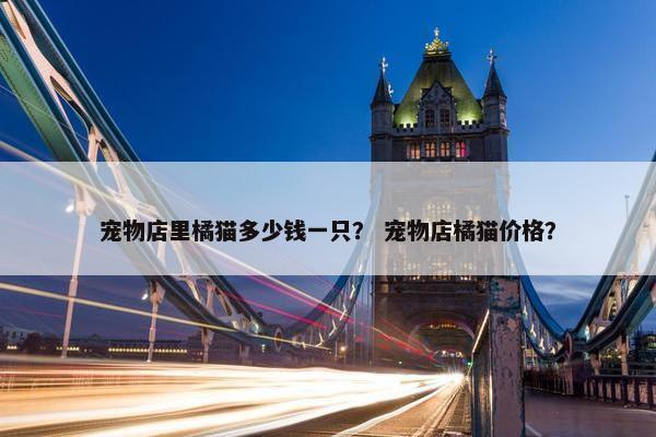 宠物店里橘猫多少钱一只？ 宠物店橘猫价格？