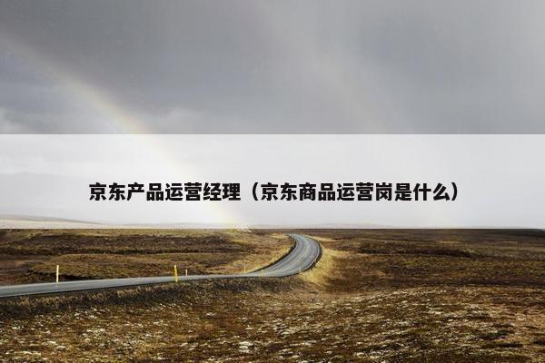 京东产品运营经理（京东商品运营岗是什么）