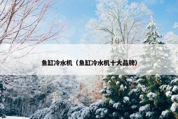 鱼缸冷水机（鱼缸冷水机十大品牌）