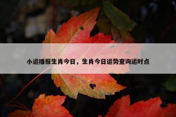 小运播报生肖今日，生肖今日运势查询运时点