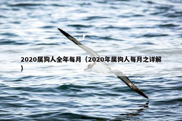 2020属狗人全年每月（2020年属狗人每月之详解）