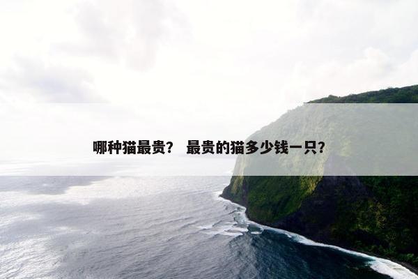 哪种猫最贵？ 最贵的猫多少钱一只？