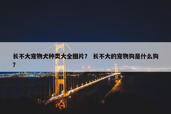 长不大宠物犬种类大全图片？ 长不大的宠物狗是什么狗？