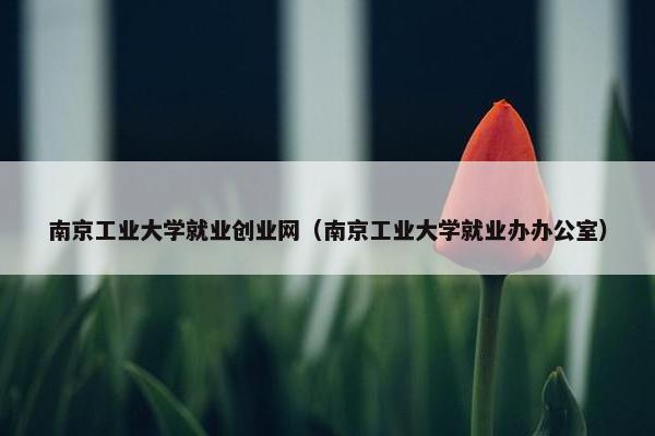 南京工业大学就业创业网（南京工业大学就业办办公室）