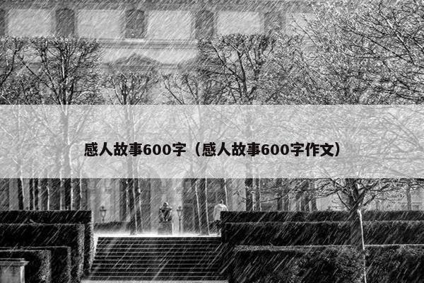 感人故事600字（感人故事600字作文）