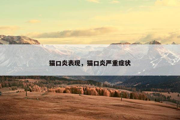 猫口炎表现，猫口炎严重症状