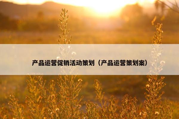产品运营促销活动策划（产品运营策划案）