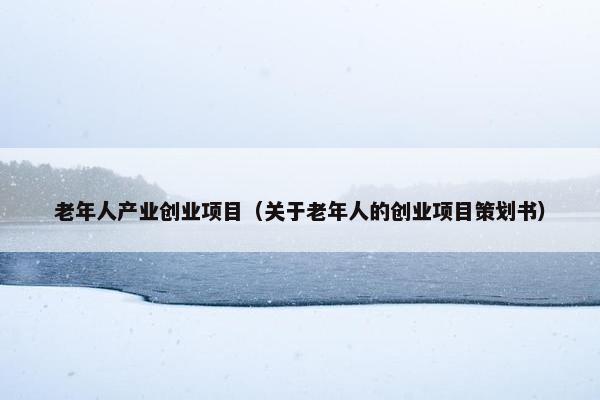 老年人产业创业项目（关于老年人的创业项目策划书）