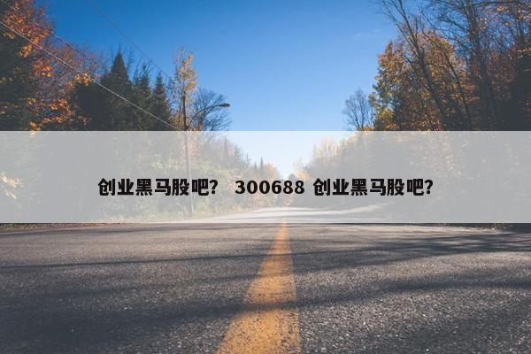 创业黑马股吧？ 300688 创业黑马股吧？