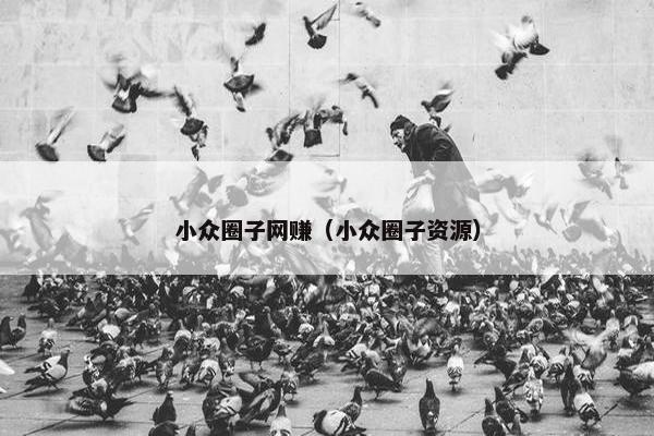 小众圈子网赚（小众圈子资源）