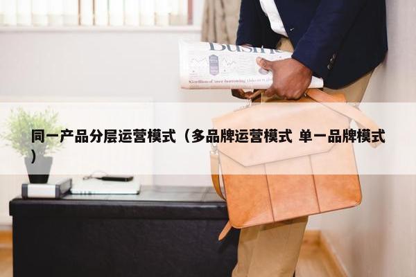 同一产品分层运营模式（多品牌运营模式 单一品牌模式）