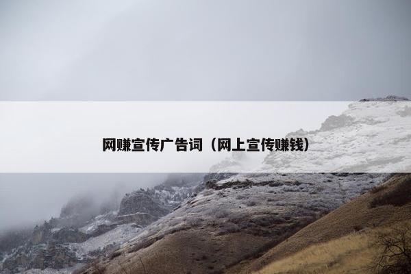 网赚宣传广告词（网上宣传赚钱）