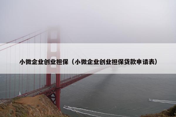 小微企业创业担保（小微企业创业担保贷款申请表）