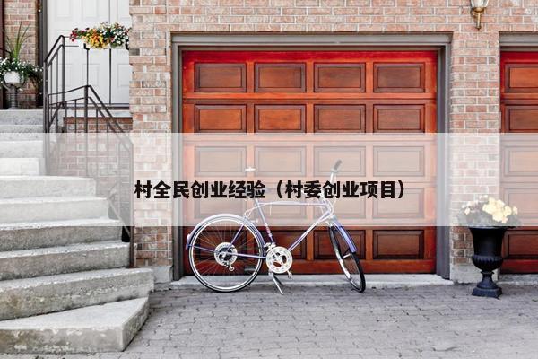 村全民创业经验（村委创业项目）