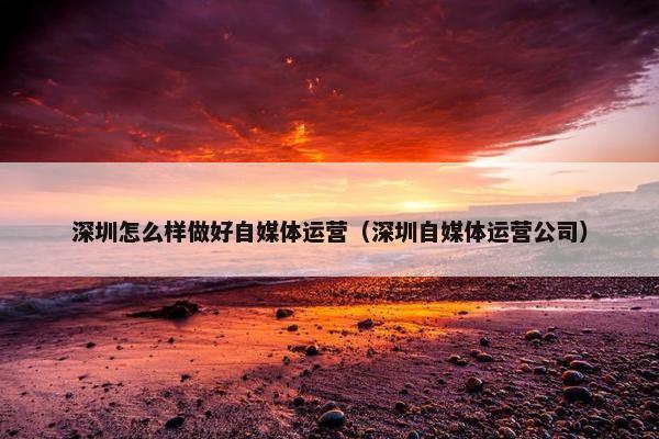深圳怎么样做好自媒体运营（深圳自媒体运营公司）