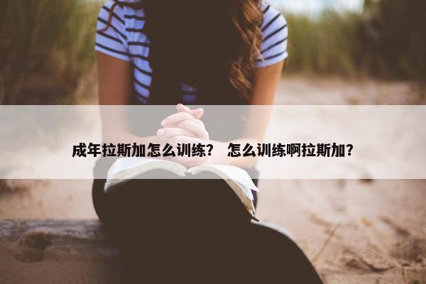 成年拉斯加怎么训练？ 怎么训练啊拉斯加？