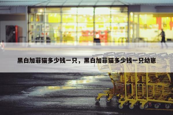 黑白加菲猫多少钱一只，黑白加菲猫多少钱一只幼崽