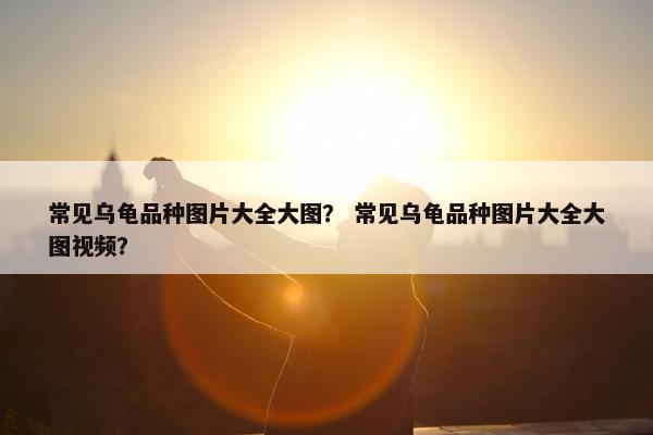 常见乌龟品种图片大全大图？ 常见乌龟品种图片大全大图视频？