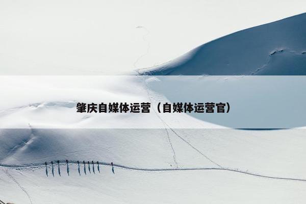 肇庆自媒体运营（自媒体运营官）