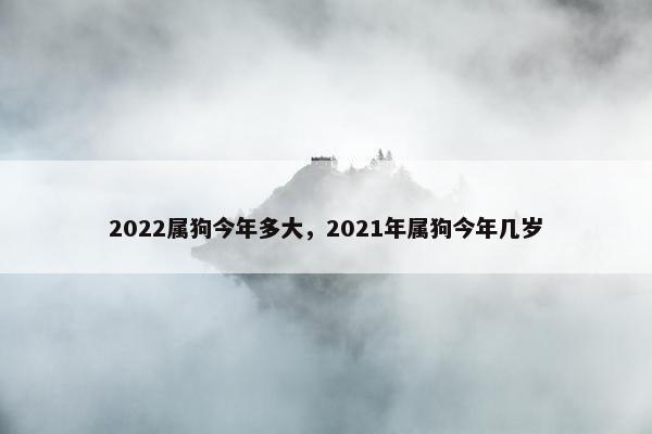 2022属狗今年多大，2021年属狗今年几岁