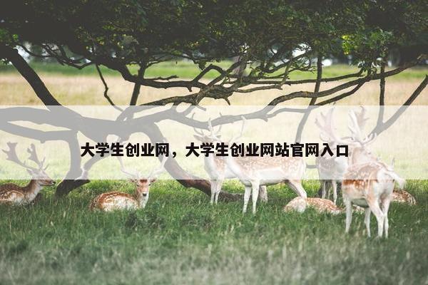 大学生创业网，大学生创业网站官网入口