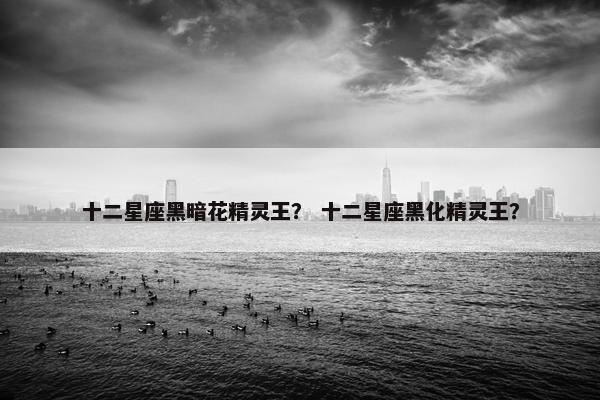 十二星座黑暗花精灵王？ 十二星座黑化精灵王？