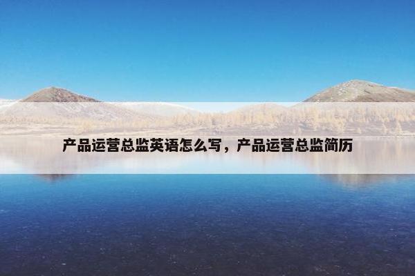 产品运营总监英语怎么写，产品运营总监简历