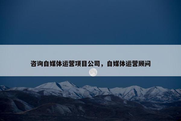 咨询自媒体运营项目公司，自媒体运营顾问