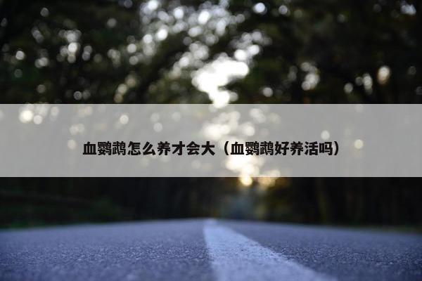 血鹦鹉怎么养才会大（血鹦鹉好养活吗）
