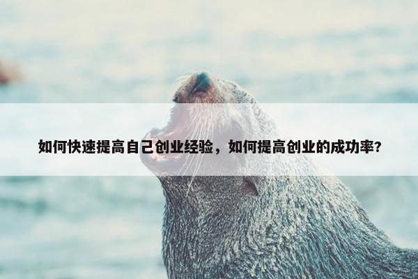 如何快速提高自己创业经验，如何提高创业的成功率?