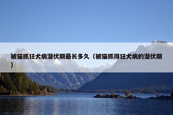 被猫抓狂犬病潜伏期最长多久（被猫抓得狂犬病的潜伏期）