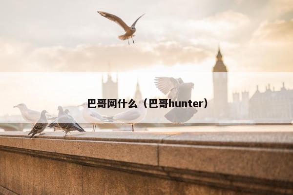 巴哥网什么（巴哥hunter）