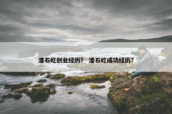 潘石屹创业经历？ 潘石屹成功经历？